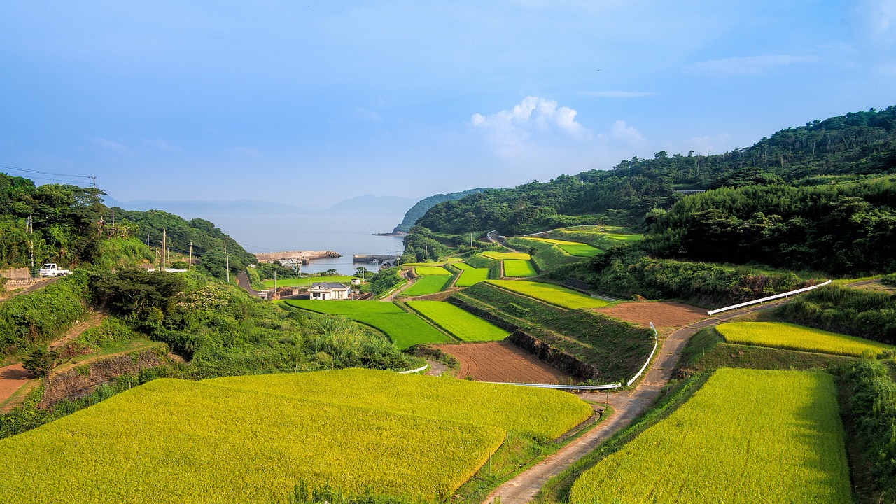 山东龙口南山房产，品质生活的理想选择山东龙口南山房产中介快去办房本电话号码  第1张